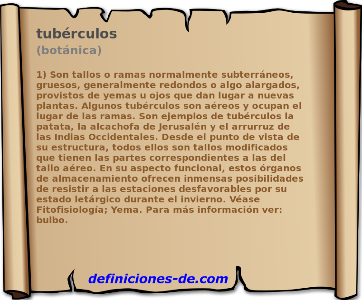 tubrculos (botnica)