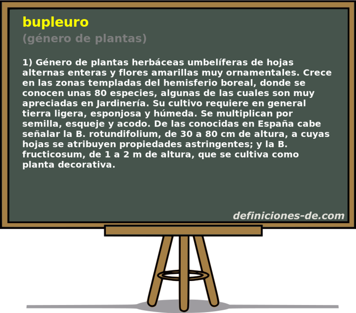 bupleuro (gnero de plantas)