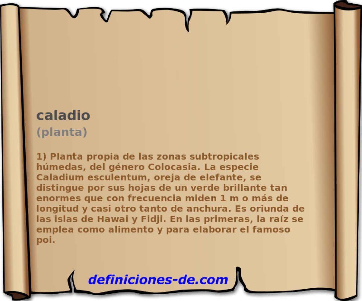 caladio (planta)