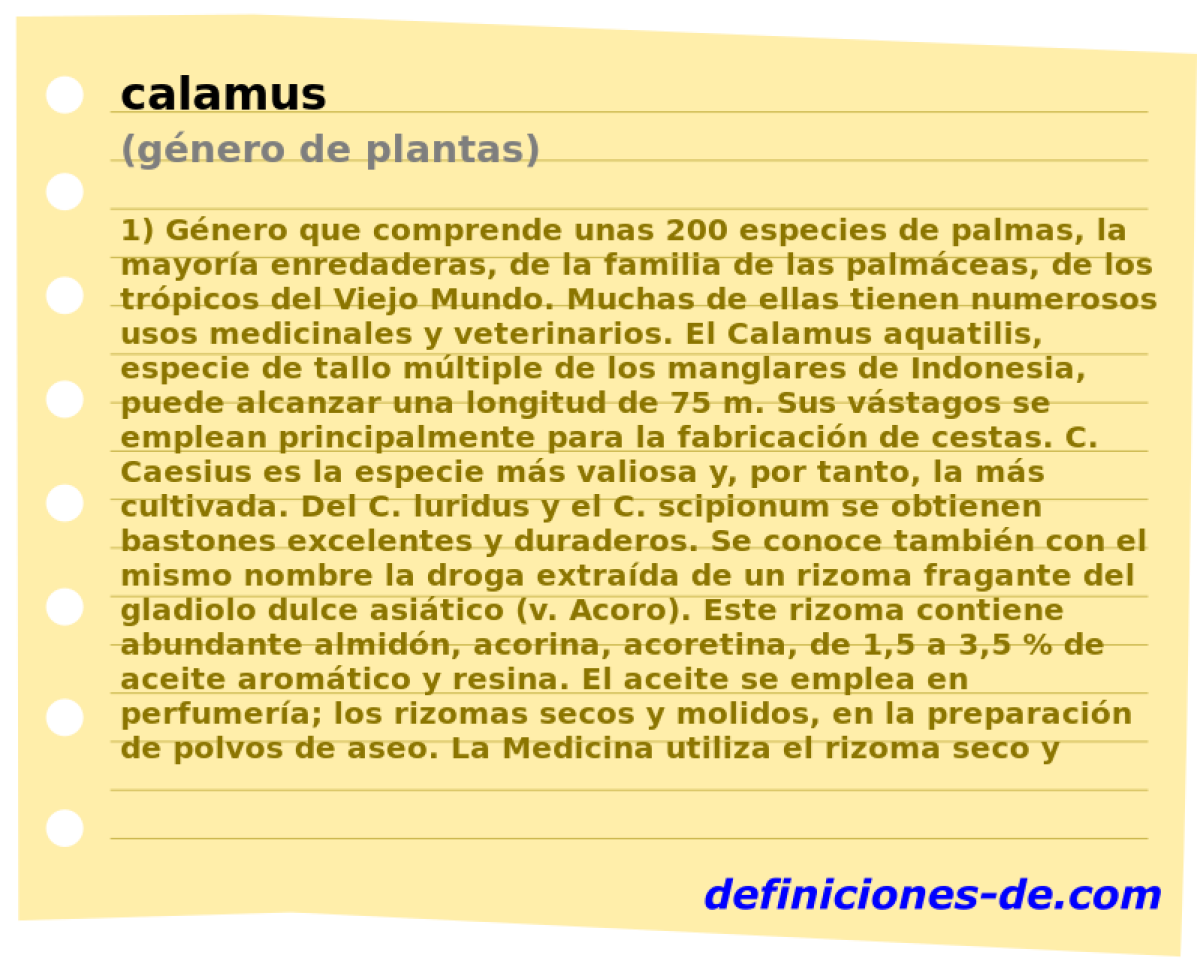 calamus (gnero de plantas)