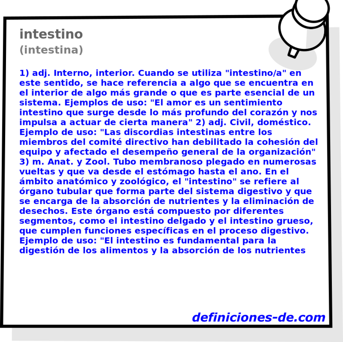 intestino (intestina)