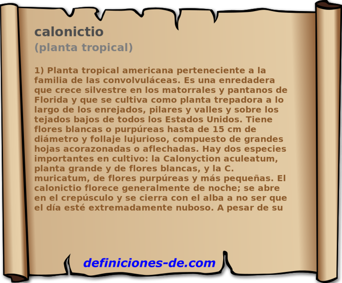 calonictio (planta tropical)