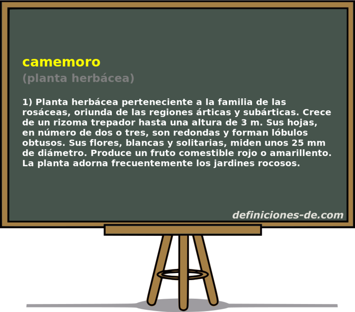 camemoro (planta herbcea)