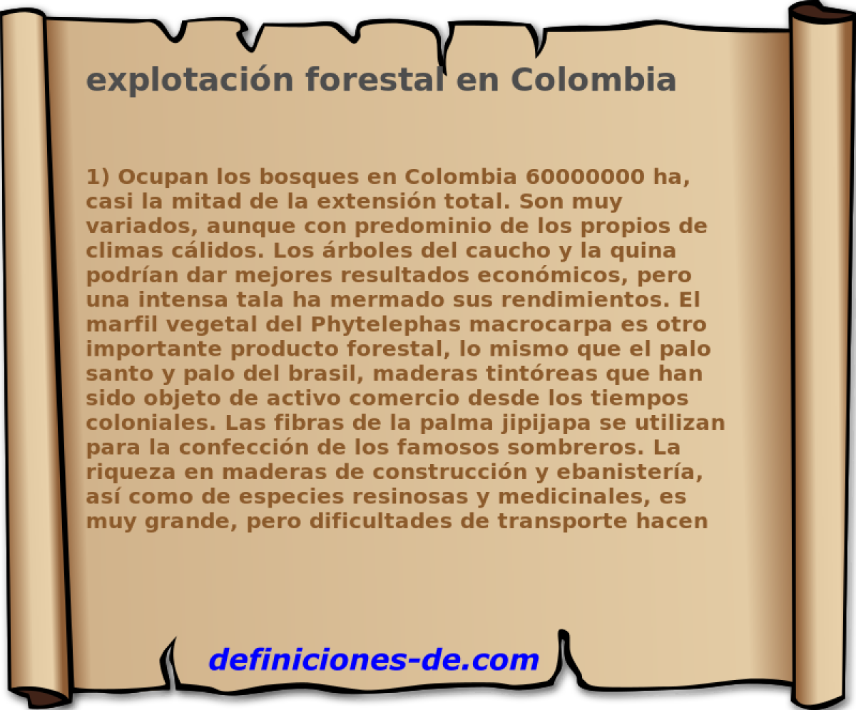 explotacin forestal en Colombia 
