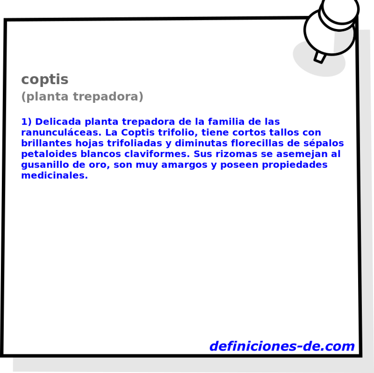 coptis (planta trepadora)