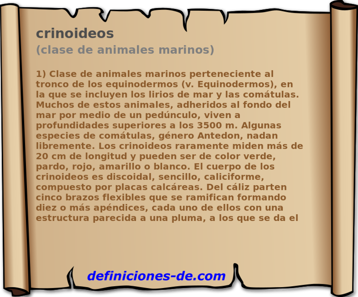 crinoideos (clase de animales marinos)