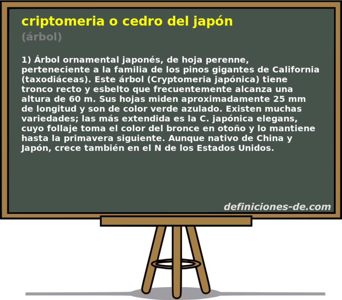 criptomeria o cedro del japn (rbol)