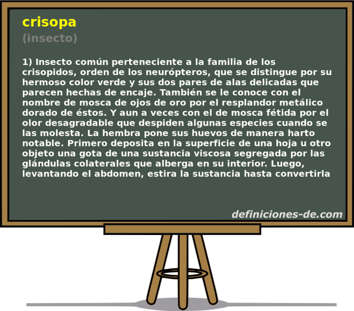 crisopa (insecto)