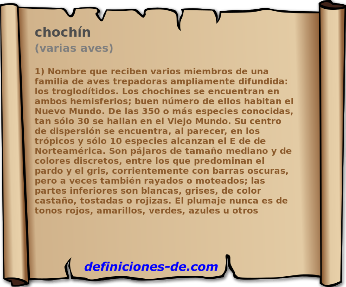 chochn (varias aves)