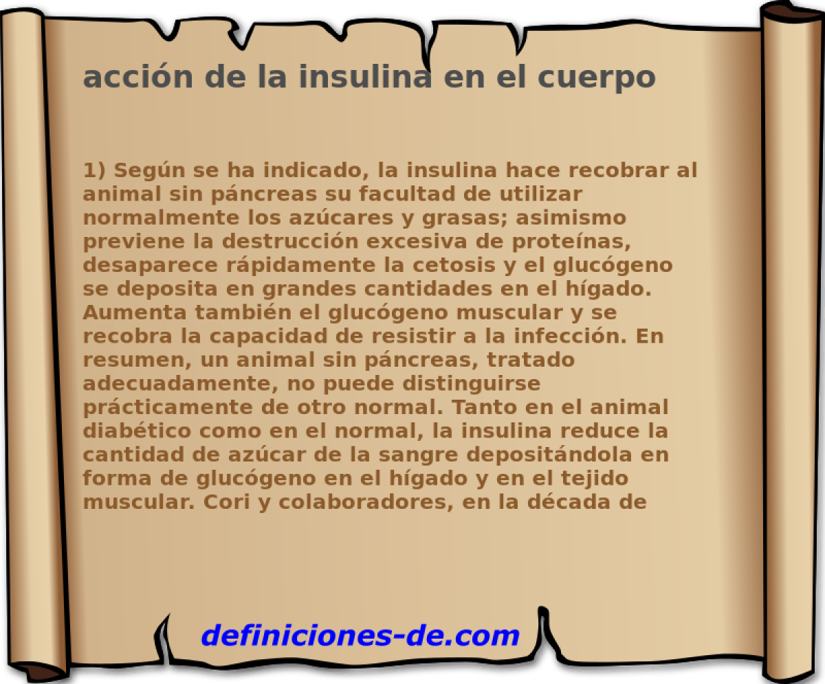 accin de la insulina en el cuerpo 