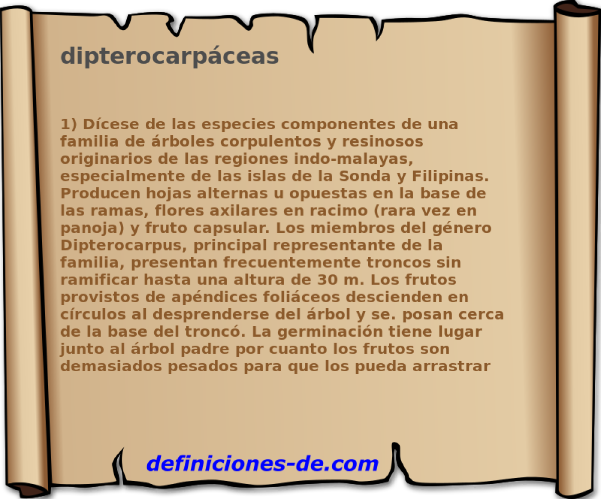 dipterocarpceas 