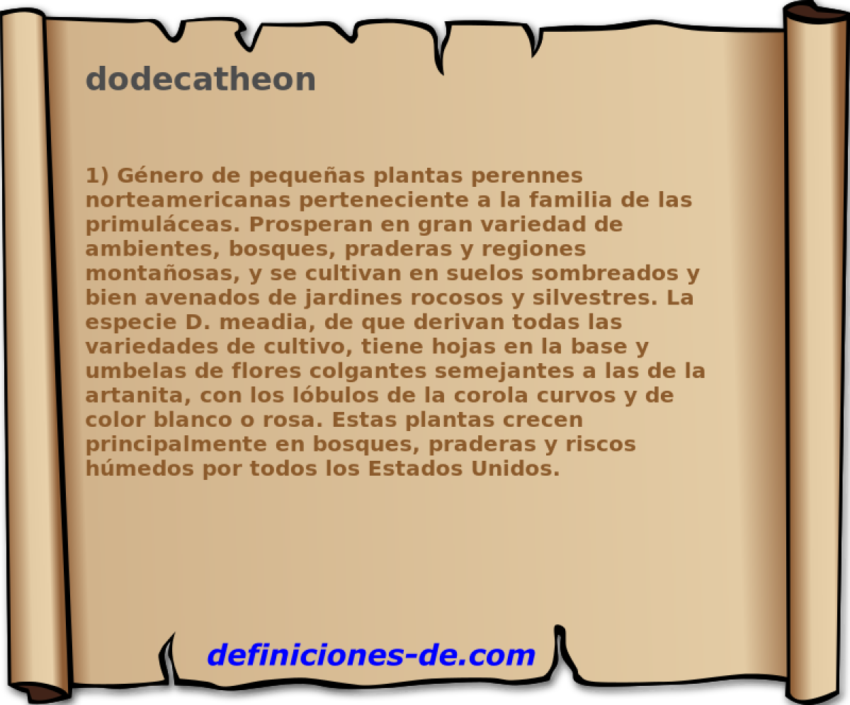 dodecatheon 