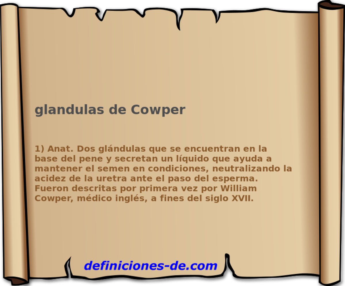 glandulas de Cowper 