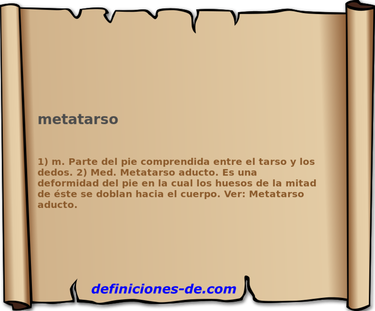 metatarso 