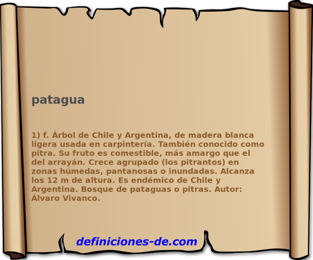 patagua 