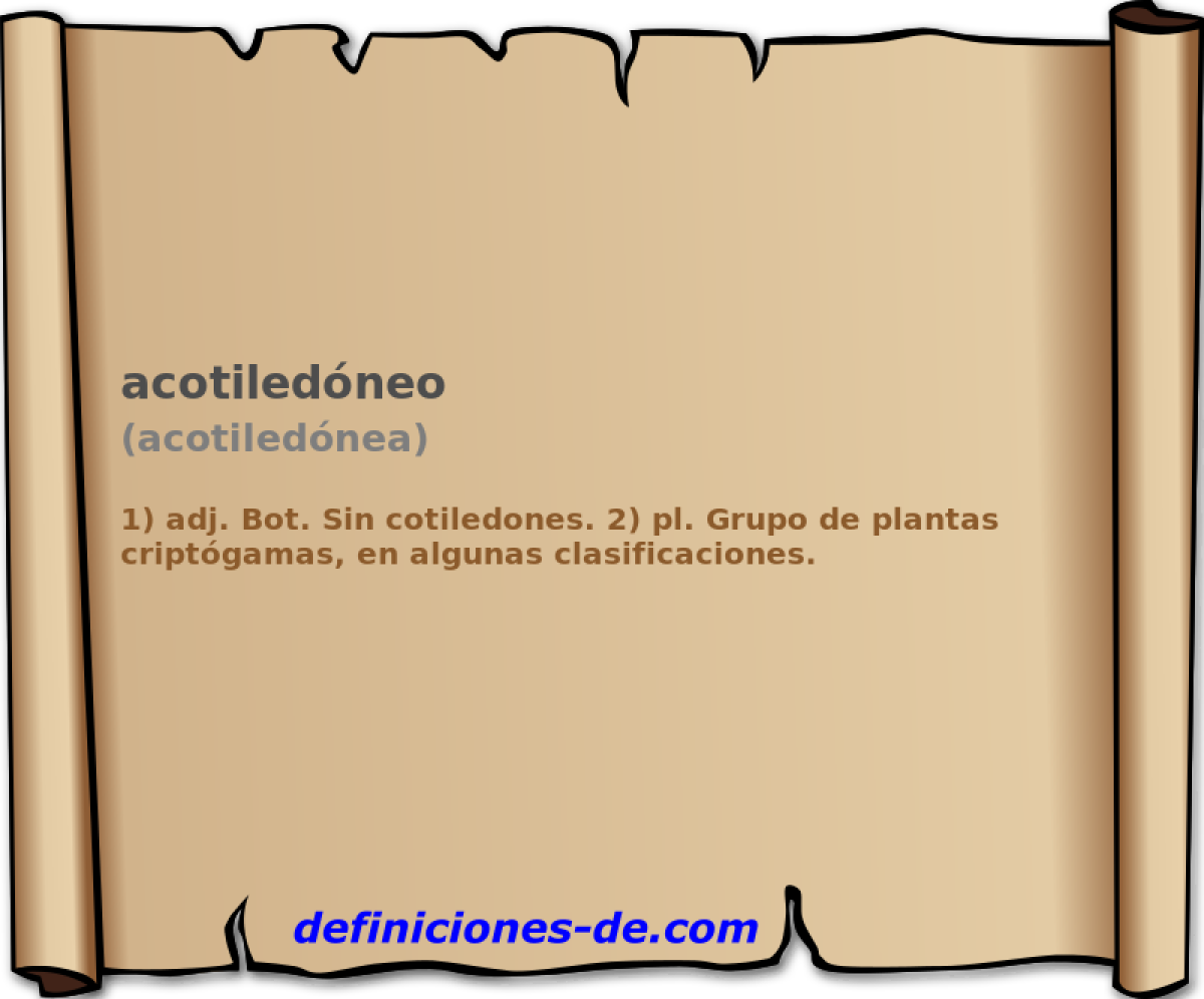 acotiledneo (acotilednea)