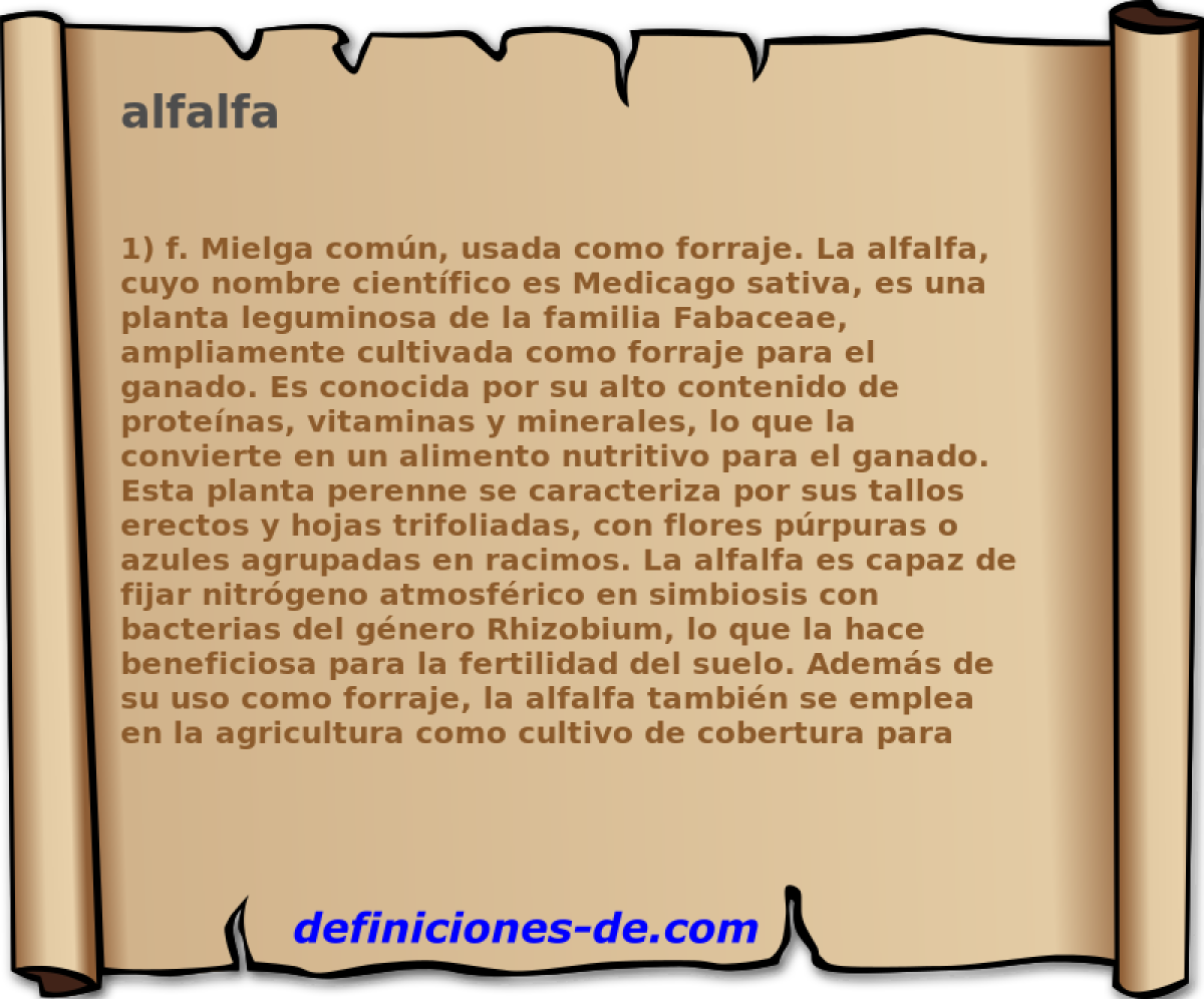 alfalfa 