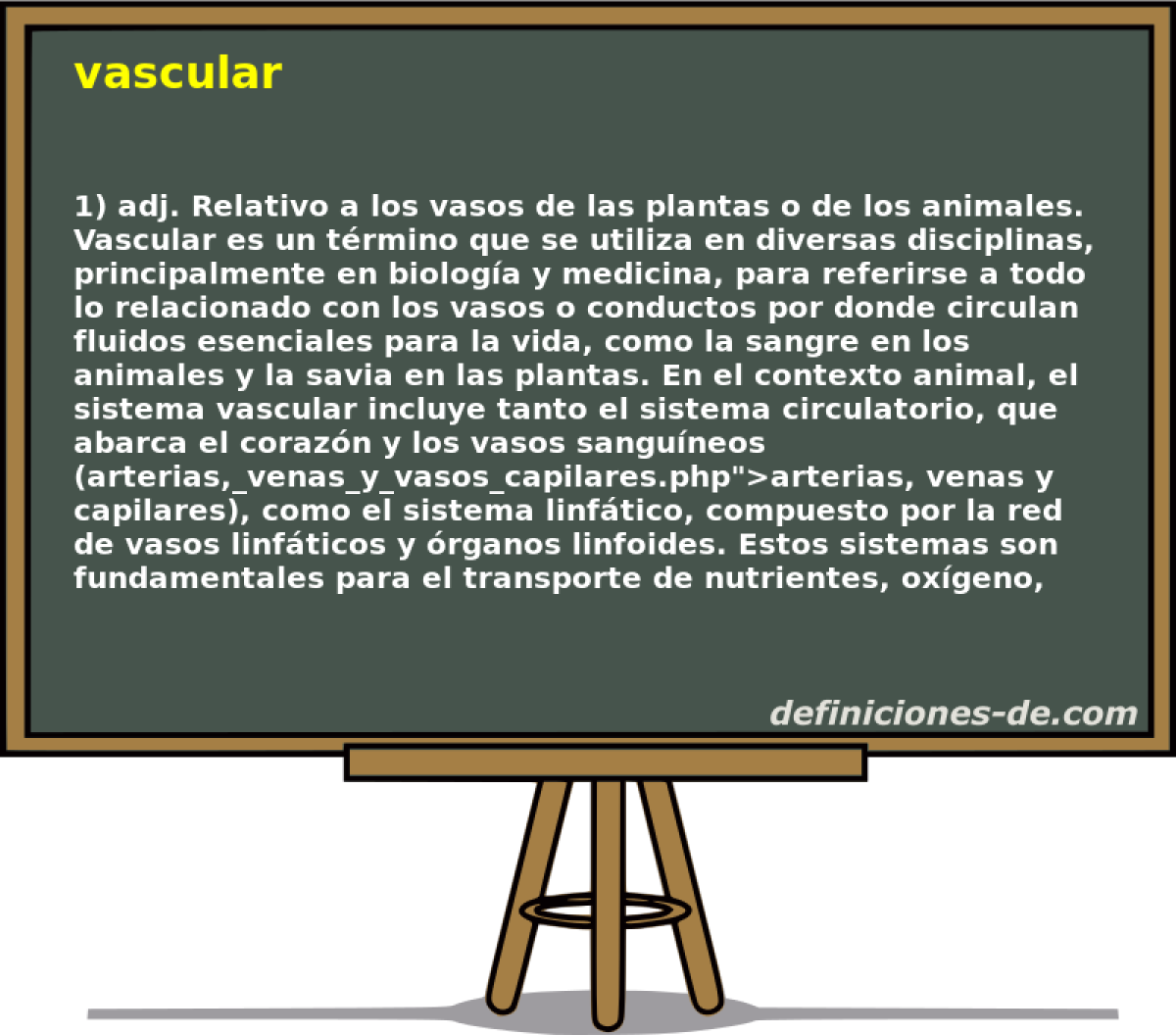 vascular 