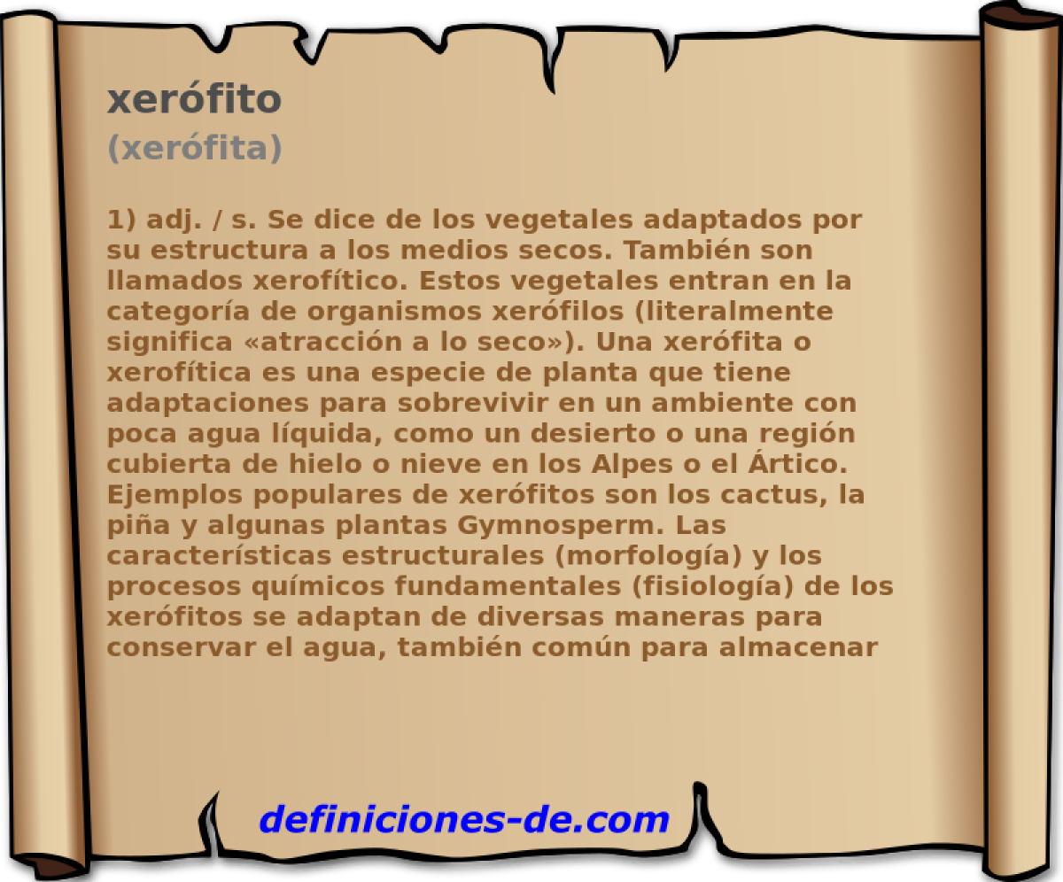 xerfito (xerfita)