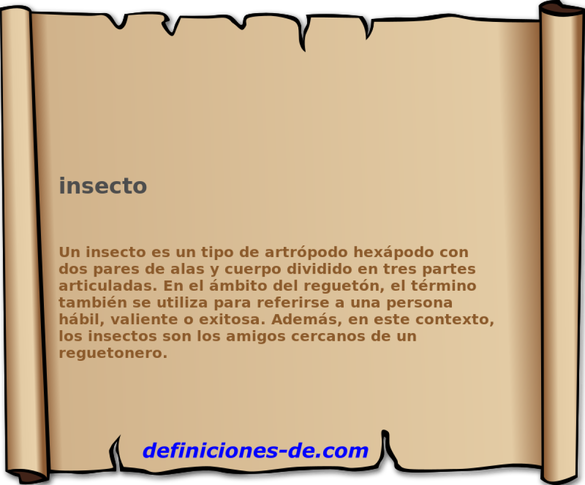 insecto 