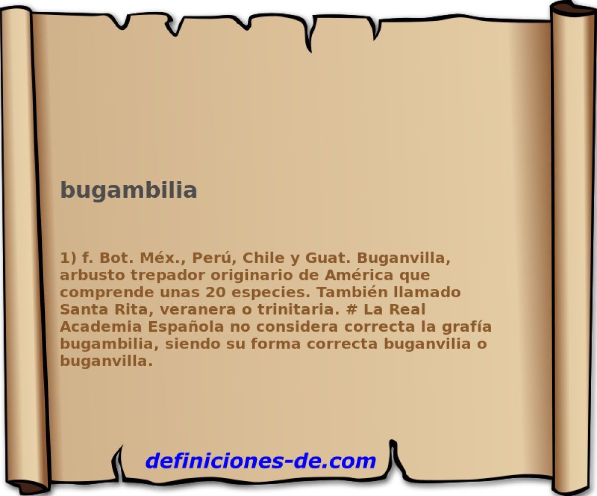 bugambilia 