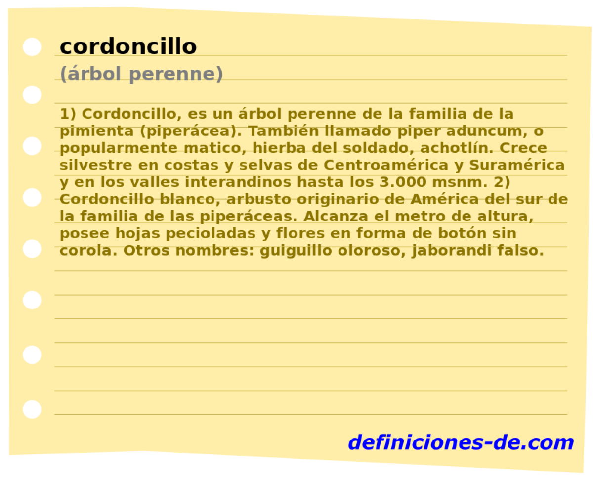 cordoncillo (rbol perenne)