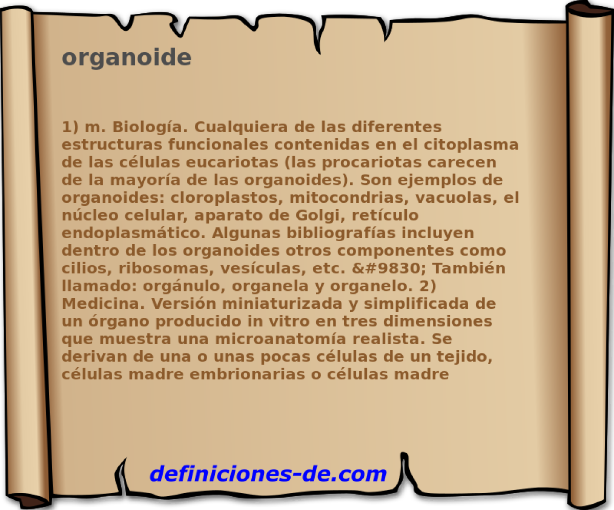 organoide 