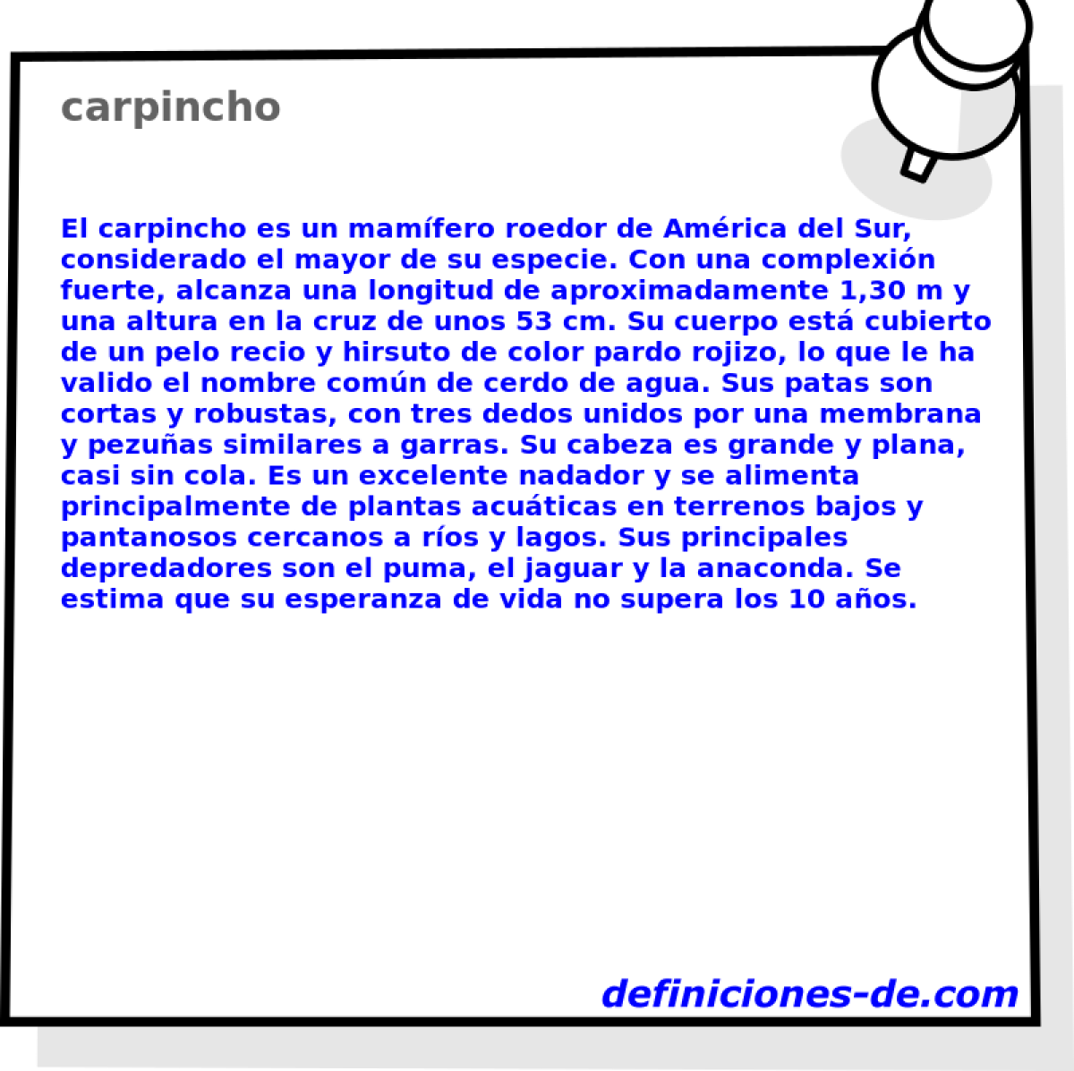 carpincho 