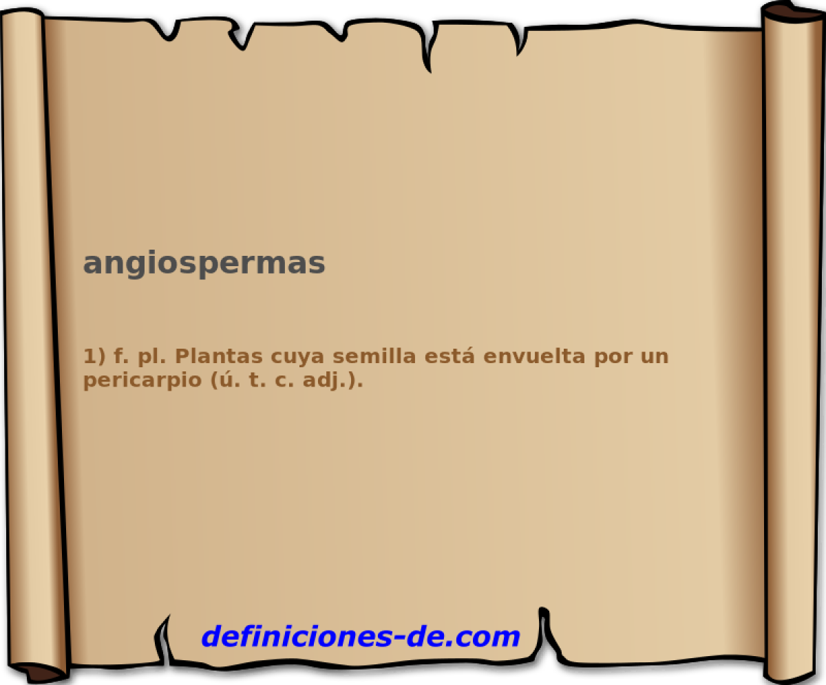 angiospermas 