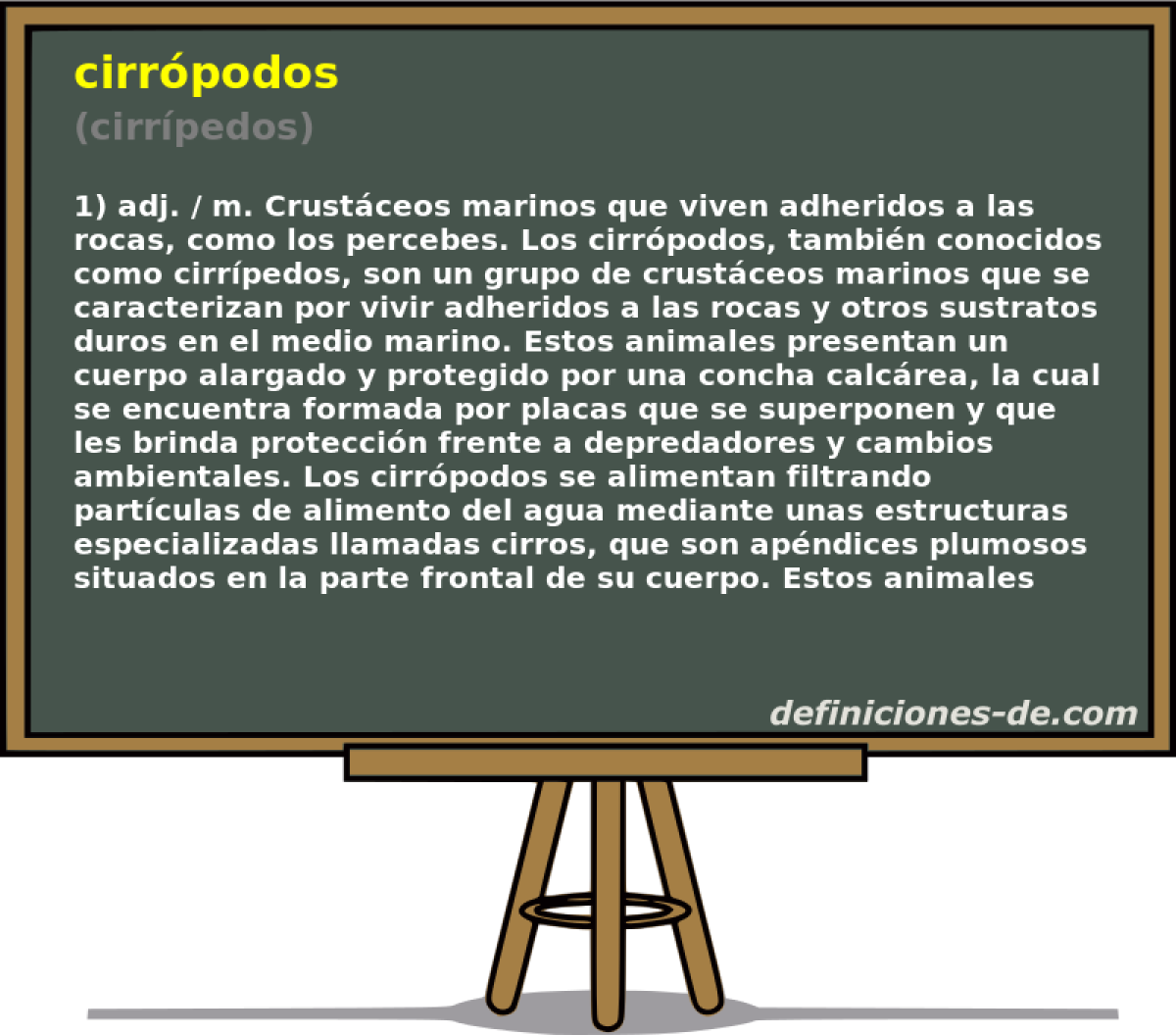 cirrpodos (cirrpedos)