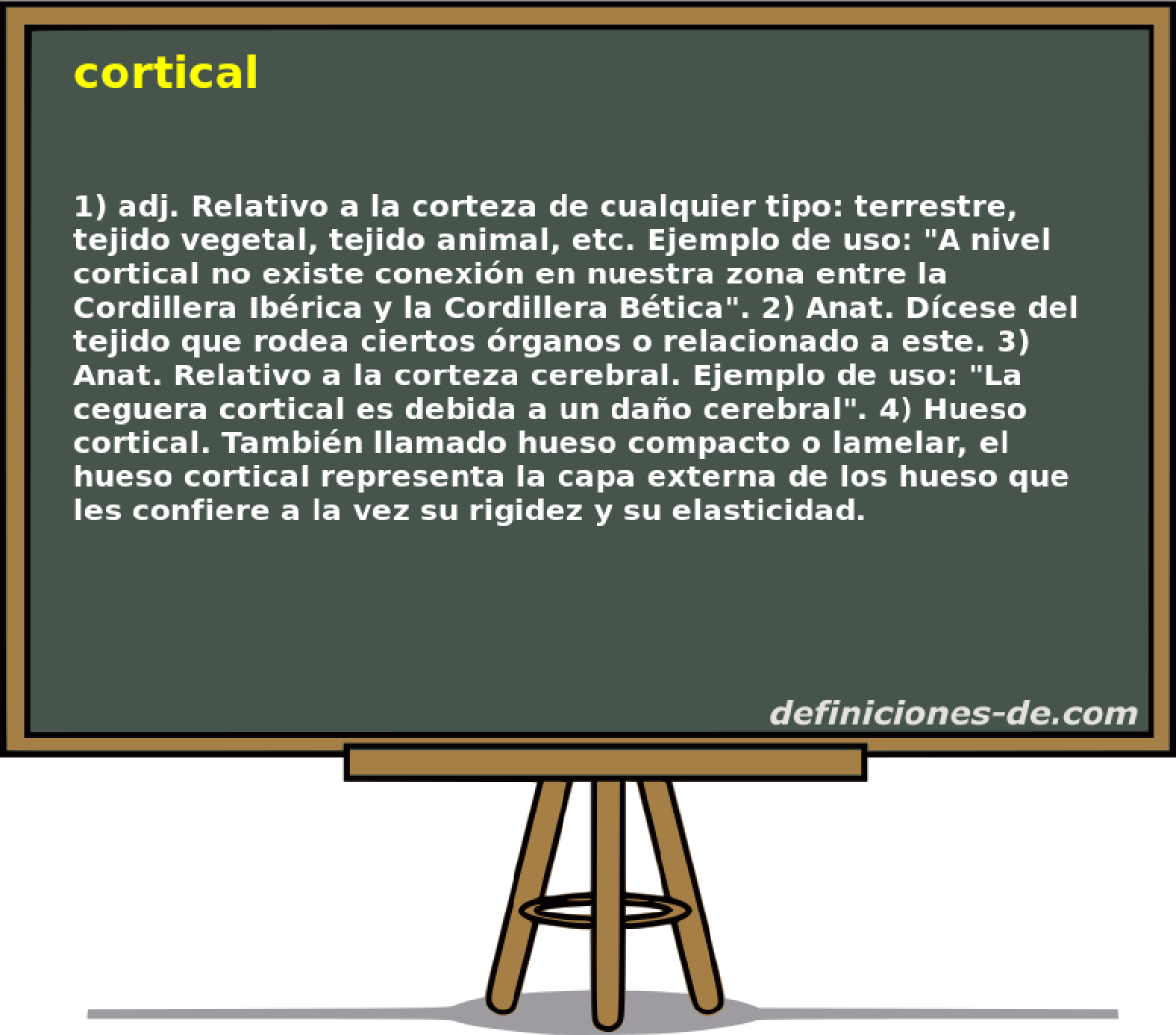 cortical 