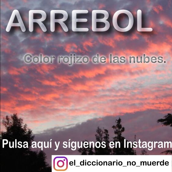 Instagram: El Diccionario No Muerde