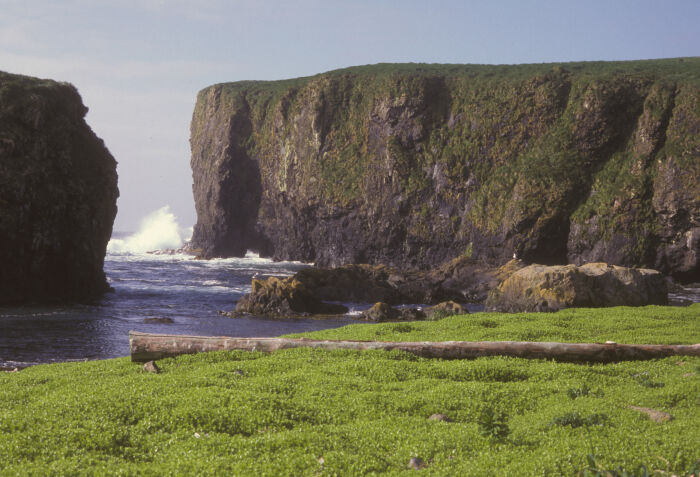 Refugio Nacional Martimo de Vida Silvestre de Alaska, Unidad de las Islas Aleutianas