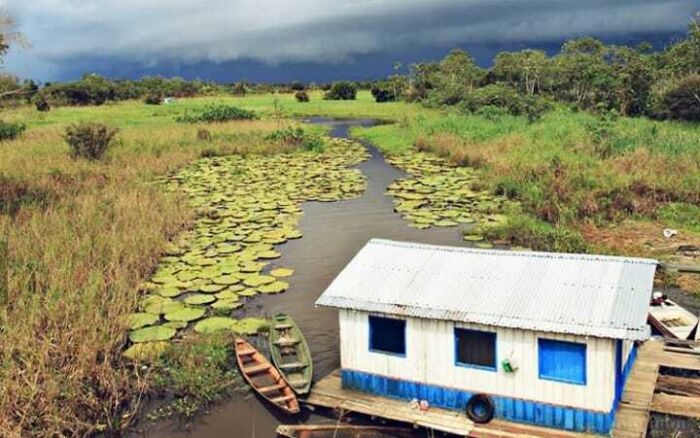 Vida riberea en Amazonia