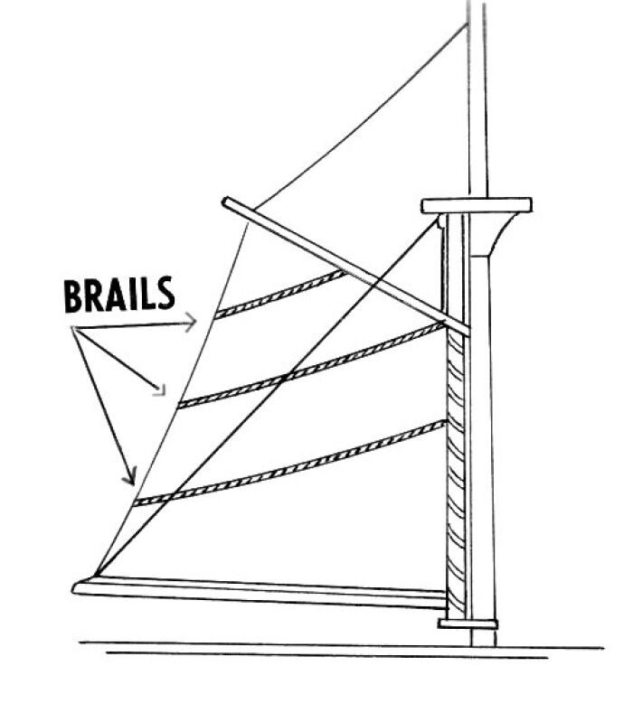 En la imagen se sealas los brioles (brails en ingls)