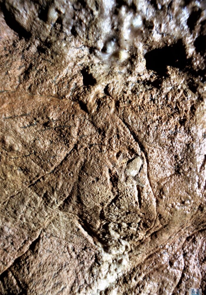 Arte rupestre: cueva de Combarelles