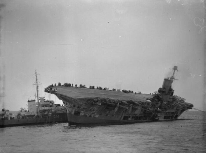 HMS Ark Royal hundindose