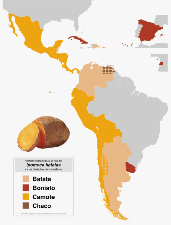 Distribucin del moniato