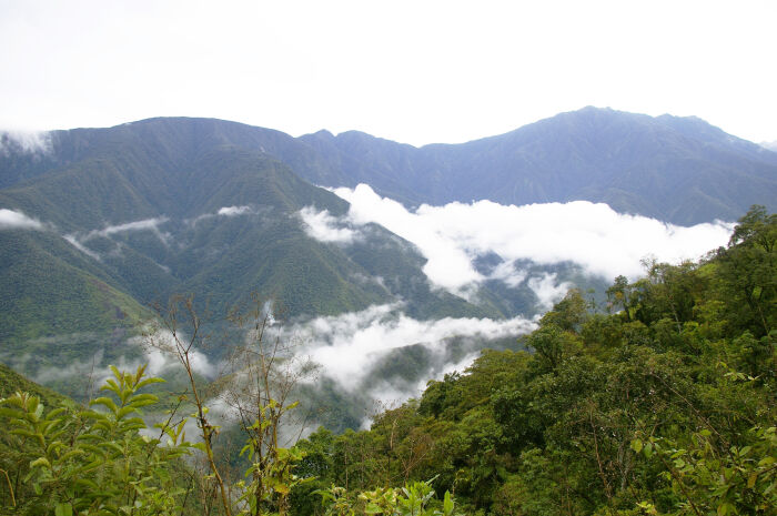 Los Yungas en La Paz.