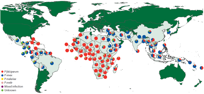 Incidencia del paludismo en el mundo