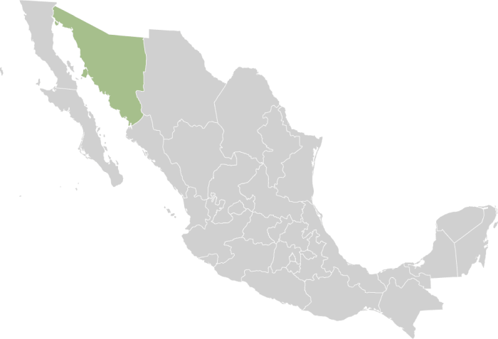 Sonora