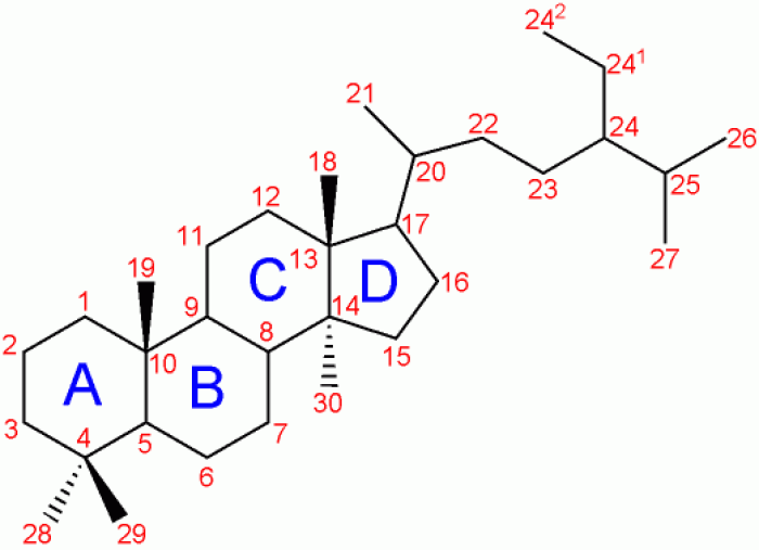 esteroide