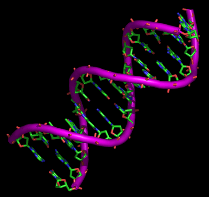 Las pruebas de ADN son irrefutables