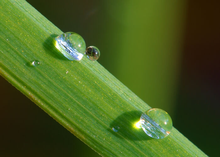 Gotas de agua, un compuesto polar.