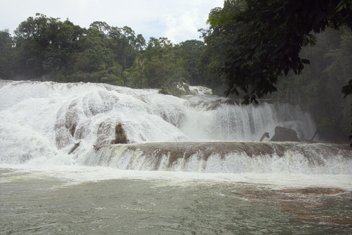 pluma de agua