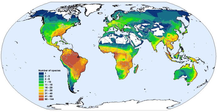 Diversidad global de las especies de anfibios