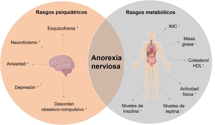 Anorexia