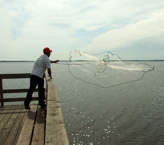 Res de pesca atarraya, ms conocida como esparavel.