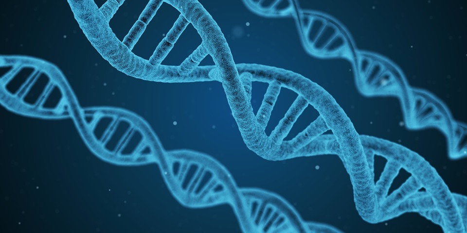 El ADN, base de toda la vida en la Tierra.