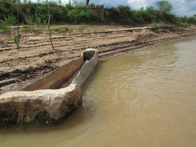 Cachiveo: rudimentaria canoa hecha con un tronco vaciado de origen indgena.